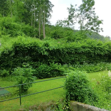 Elegant In Falkenstein Near Farm And Museum * Falkenstein (Vogtland)