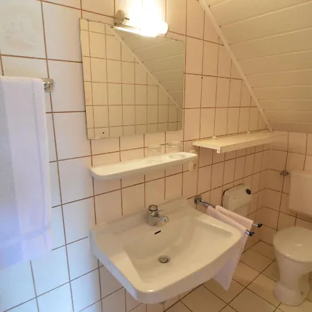 Appartement Elegant In Falkenstein Near Farm And Museum Falkenstein (Vogtland)
